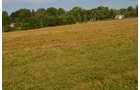 Property photo 12 - REAL ESTATE AUCTION - 26+/- ACRES IN 3 TRACTS IN SOUTHWEST ALLEN COUNTY, INDIANA